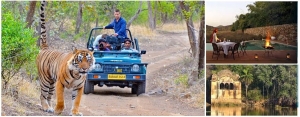Book Luxury Ranthambore Air Charter Tours